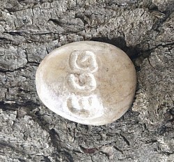 Egg.